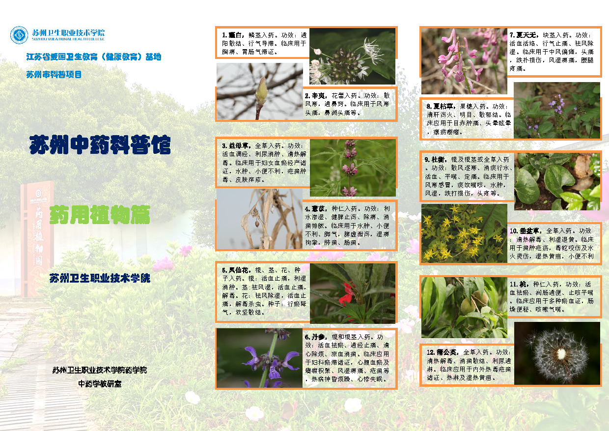 20210423 药用植物 - 折页6_页面_1.png