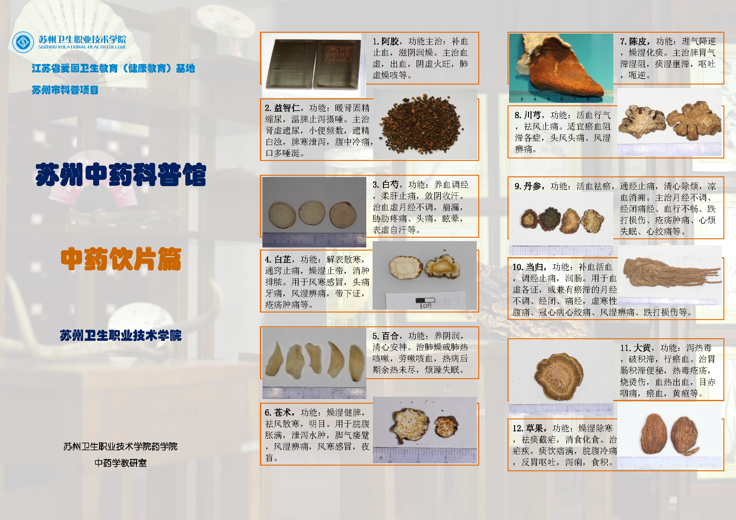 20210421 中药饮片 - 折页1_页面_1.png