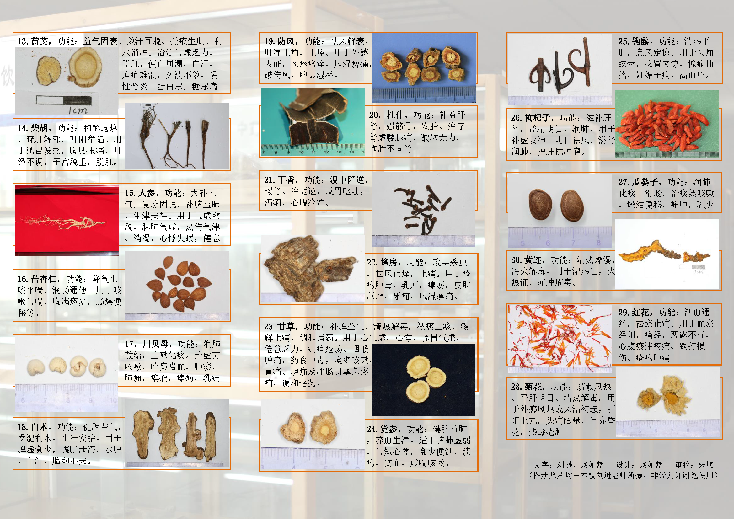 20210421 中药饮片 - 折页1_页面_2.png