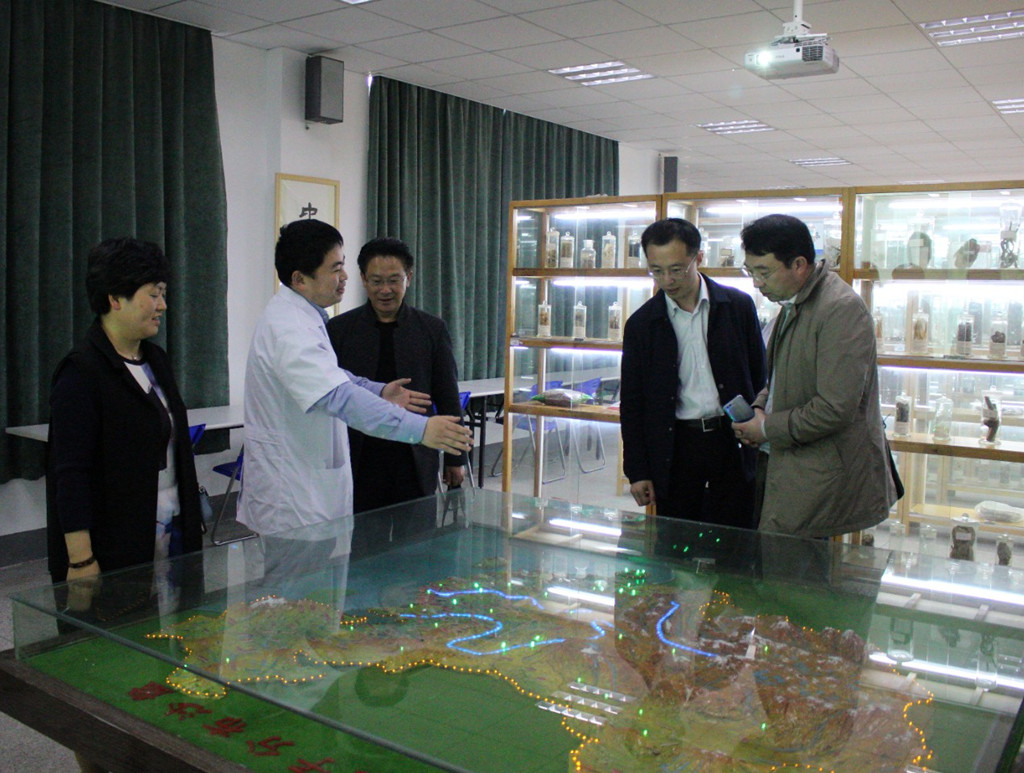 专家参观中药科普馆.jpg