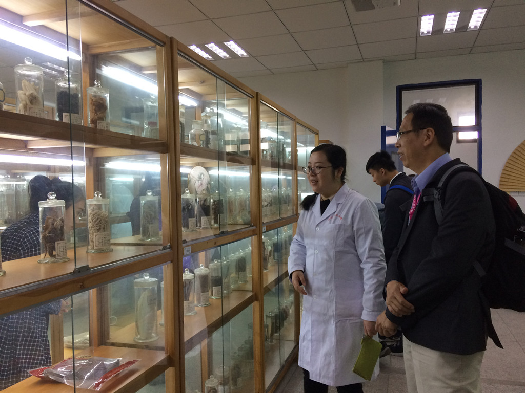参观药学院中药标本馆.jpg