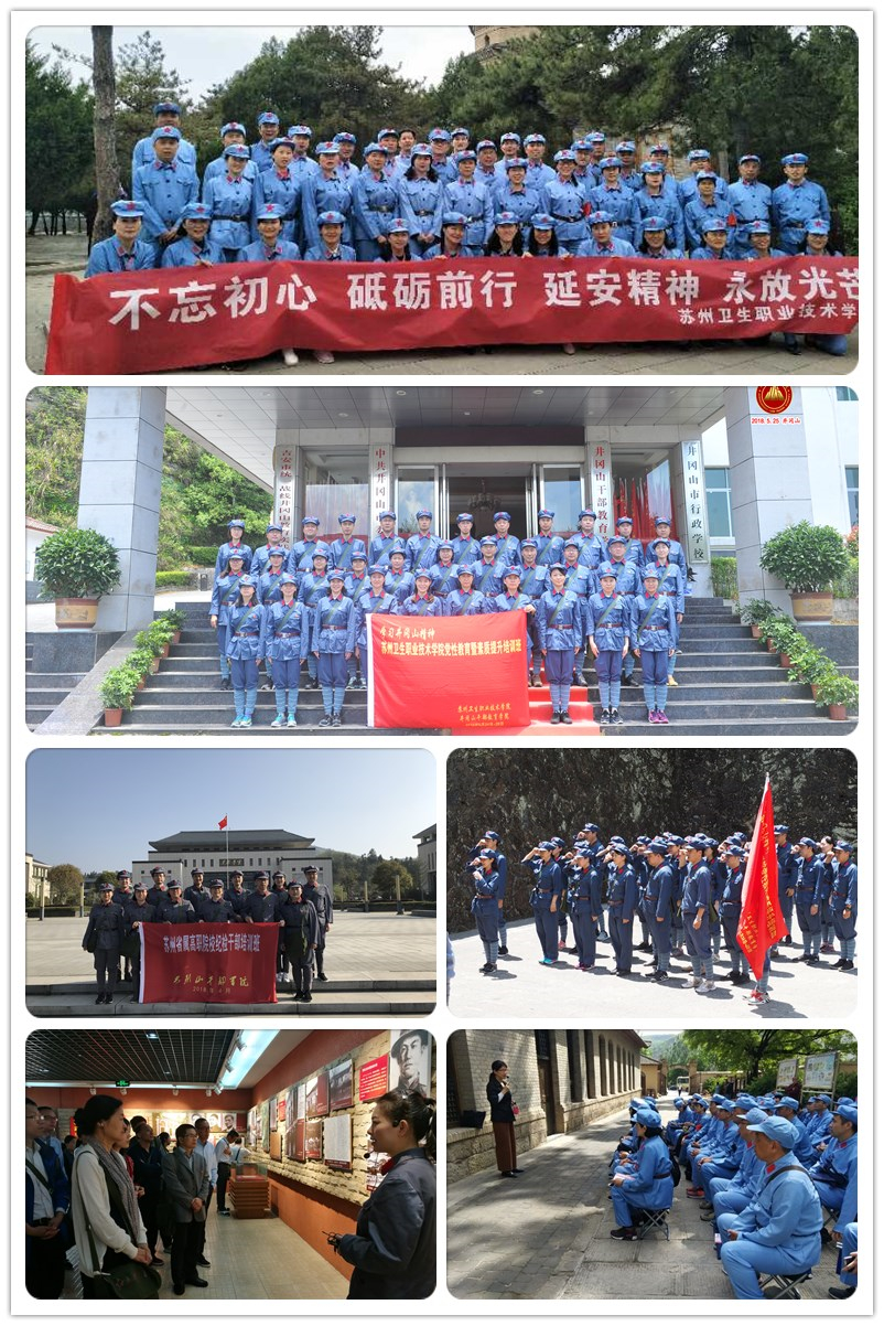拼图2.jpg