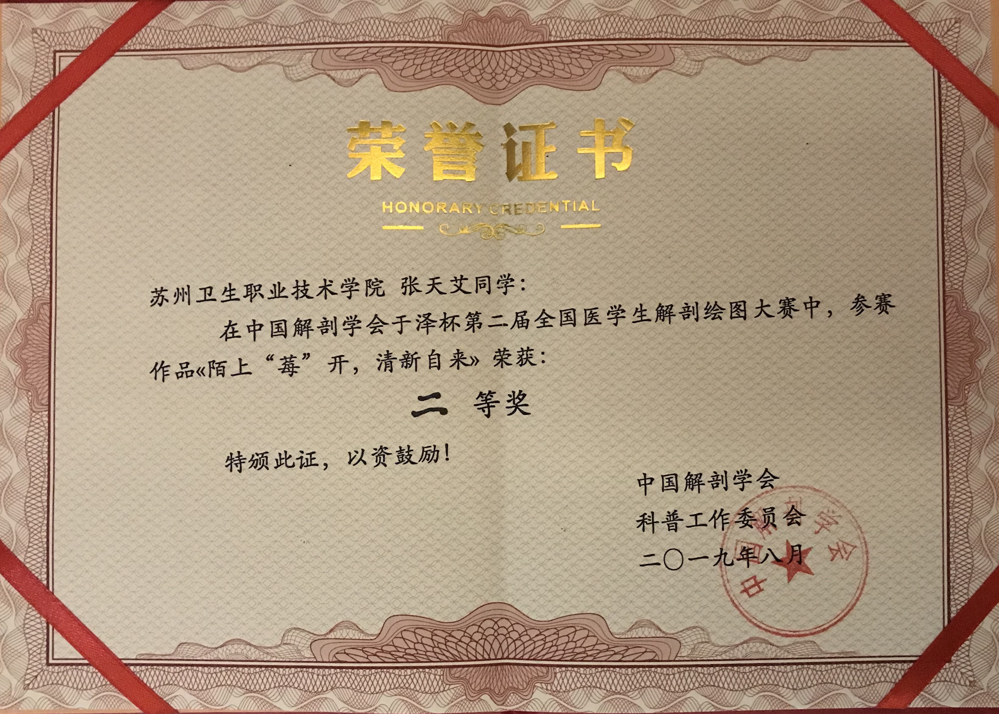4.张天艾全国医学生解剖绘画比赛二等奖证书.jpg