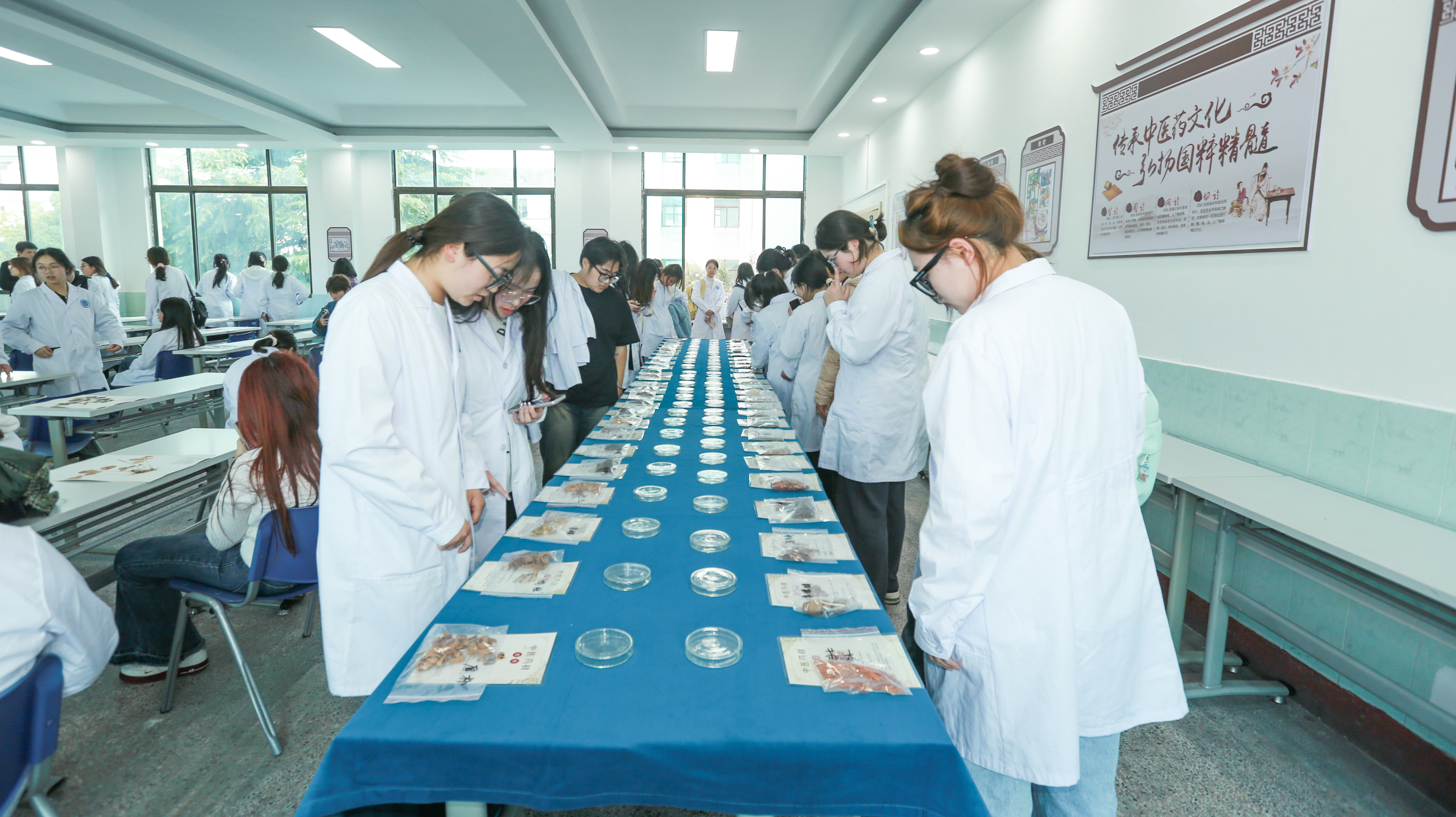 06 参观中药科普基地+3月11日下午15点45分+木渎校区+药学院学生+方向传媒.jpg