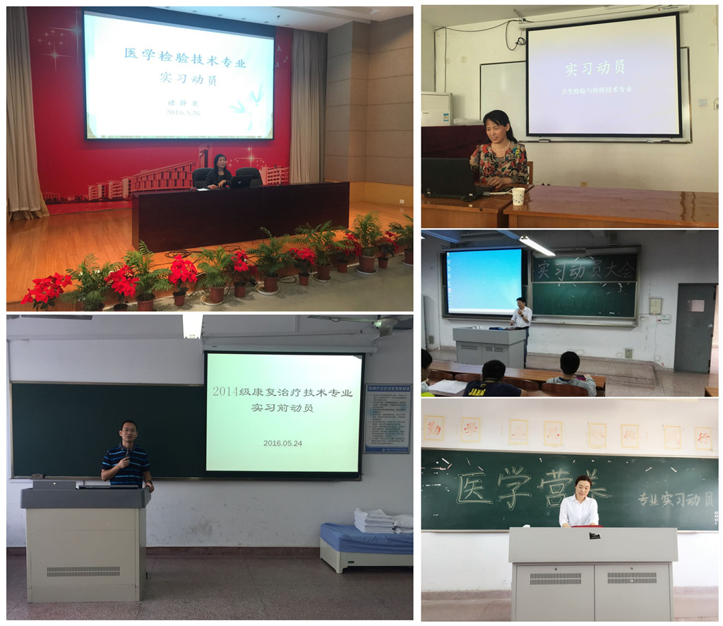 实习总动员.jpg