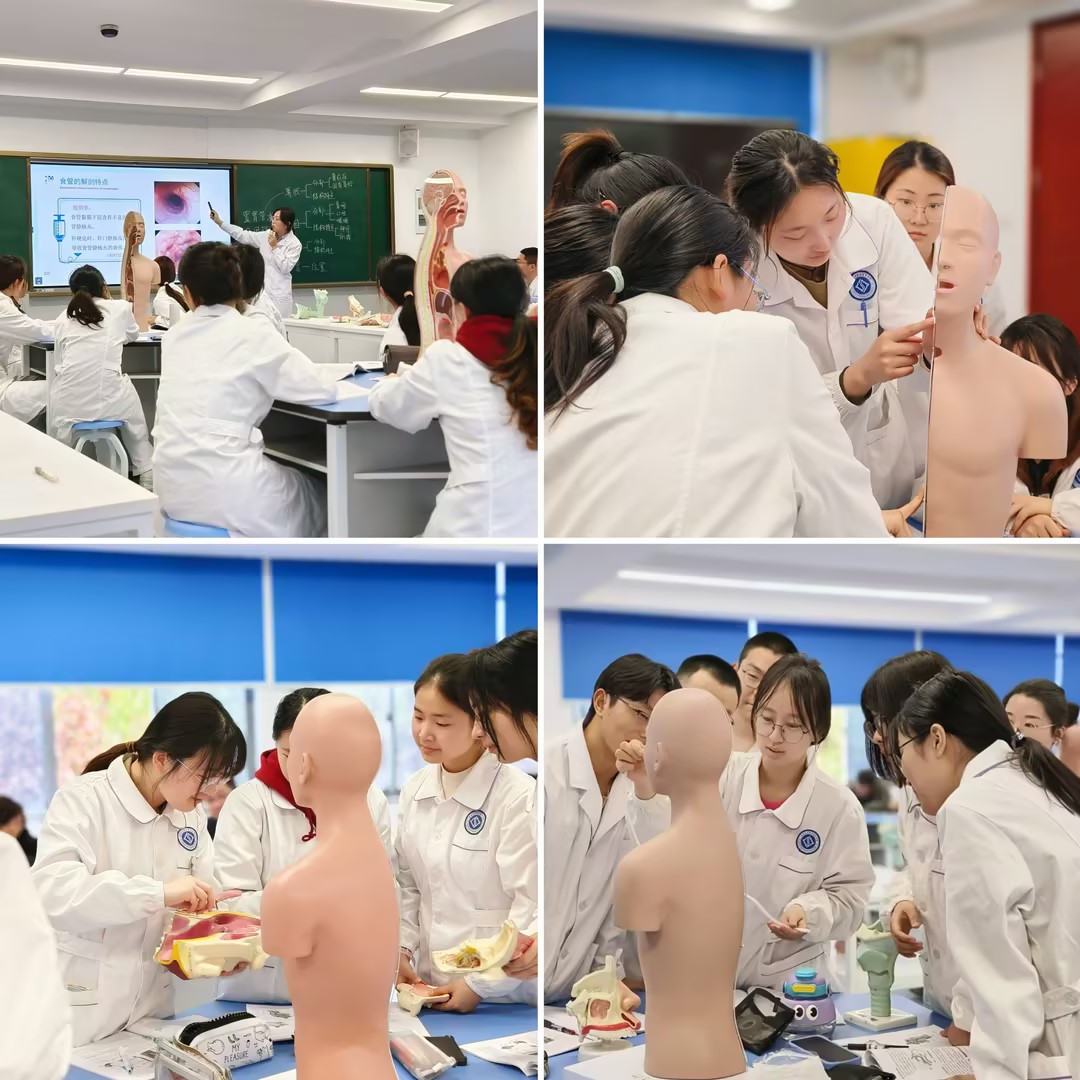 谈辰欢公开课1.jpg