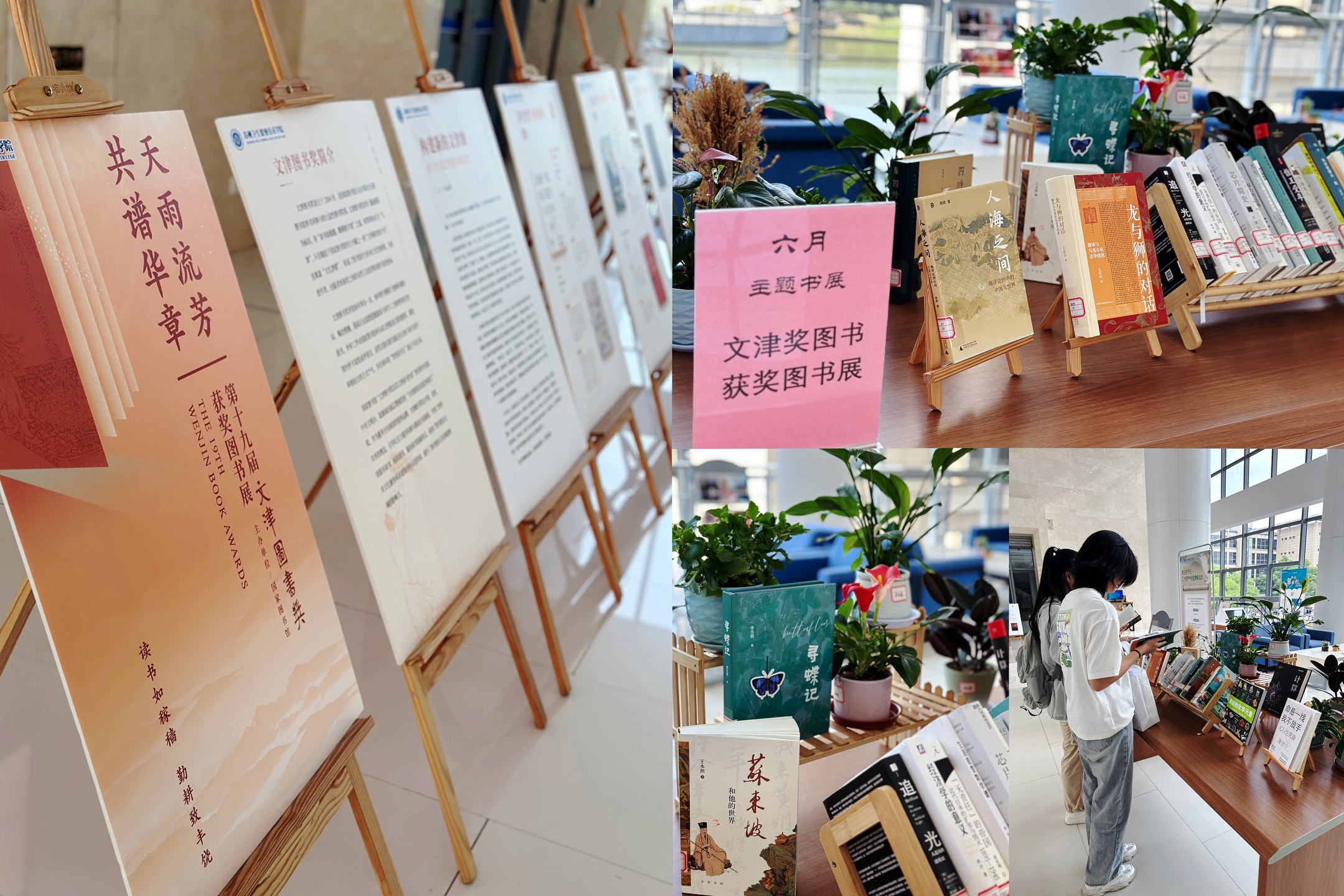 报道配图.jpg
