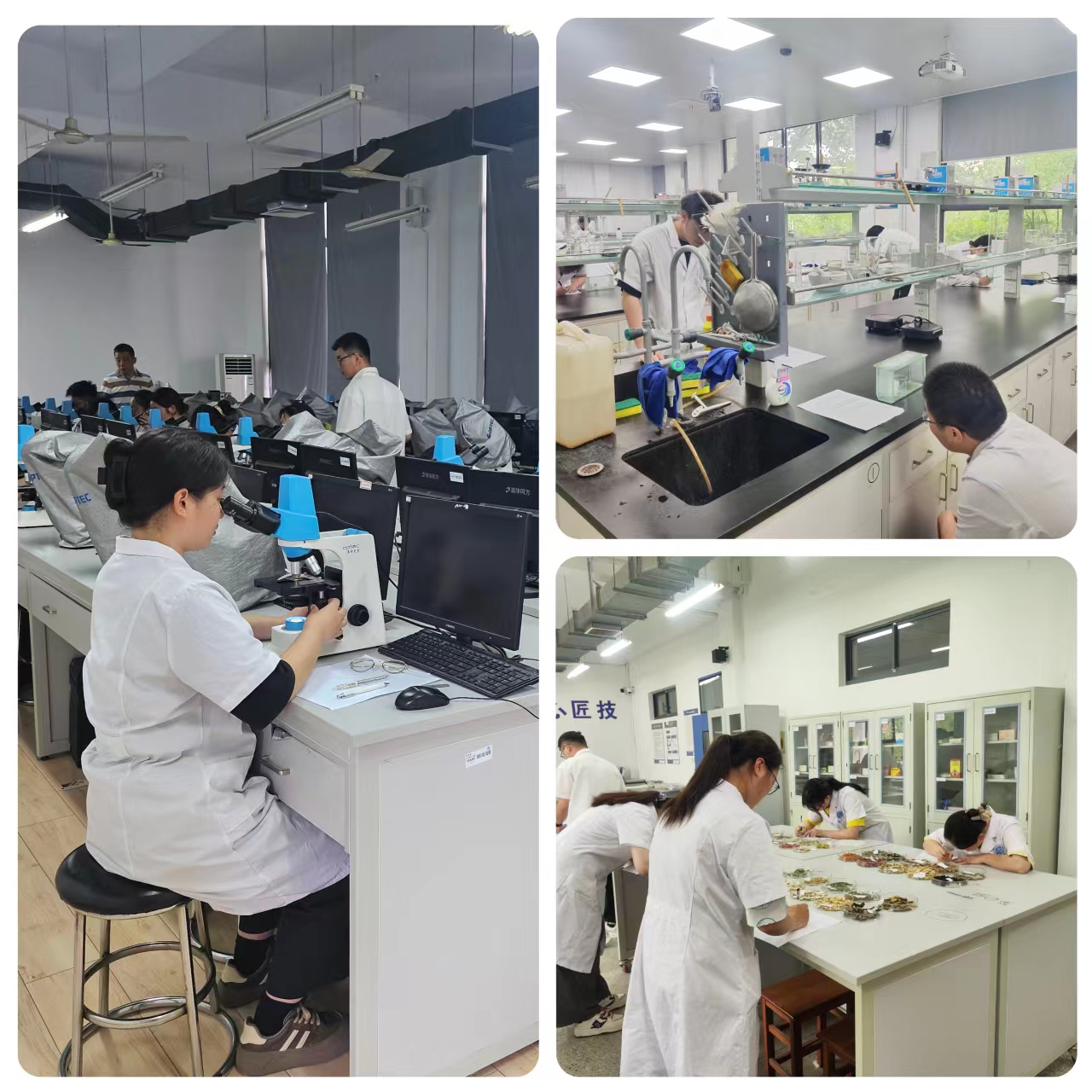 学生参与转段实验考核.jpg
