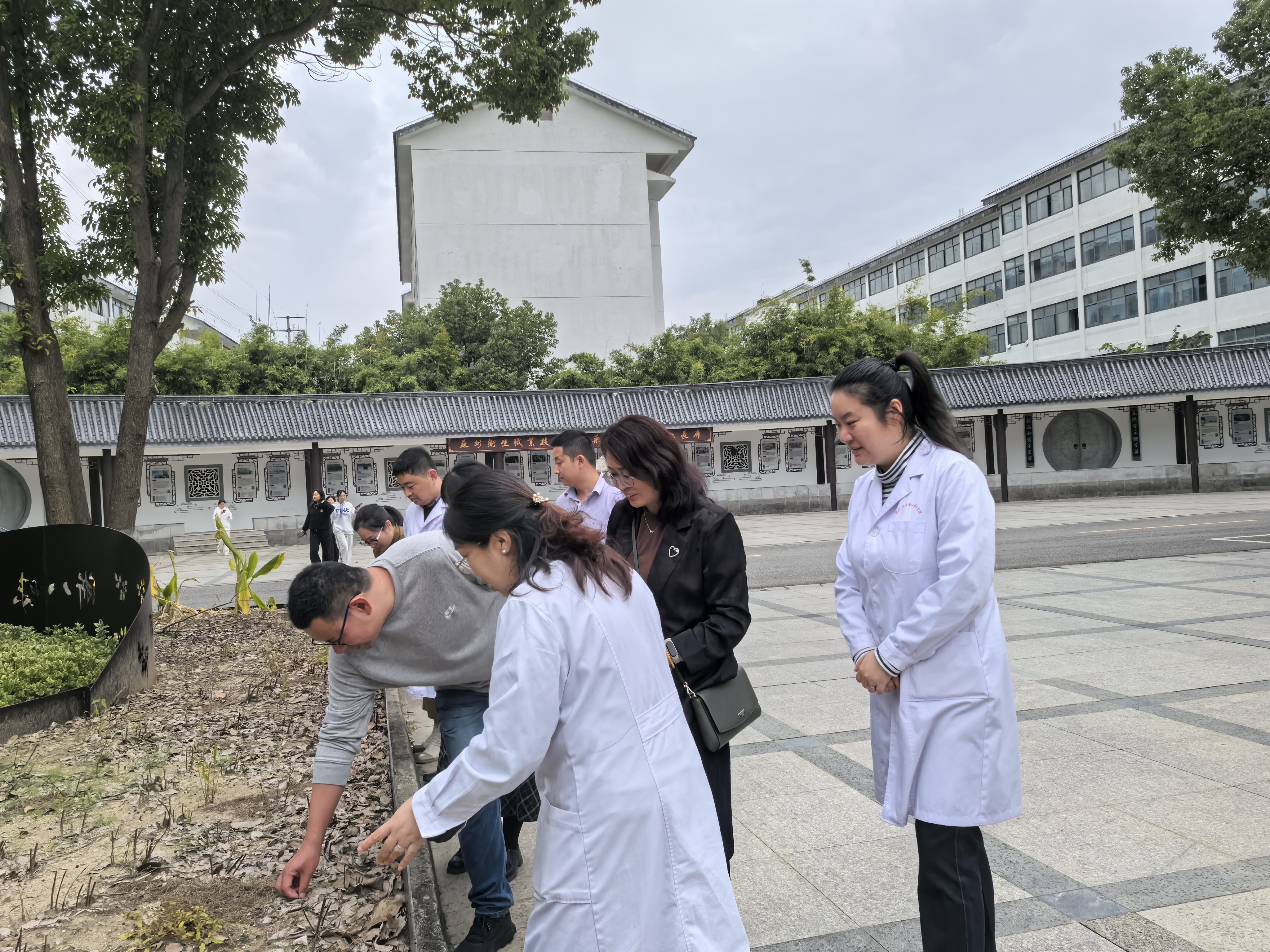 探讨我院药用植物种植情况.jpg