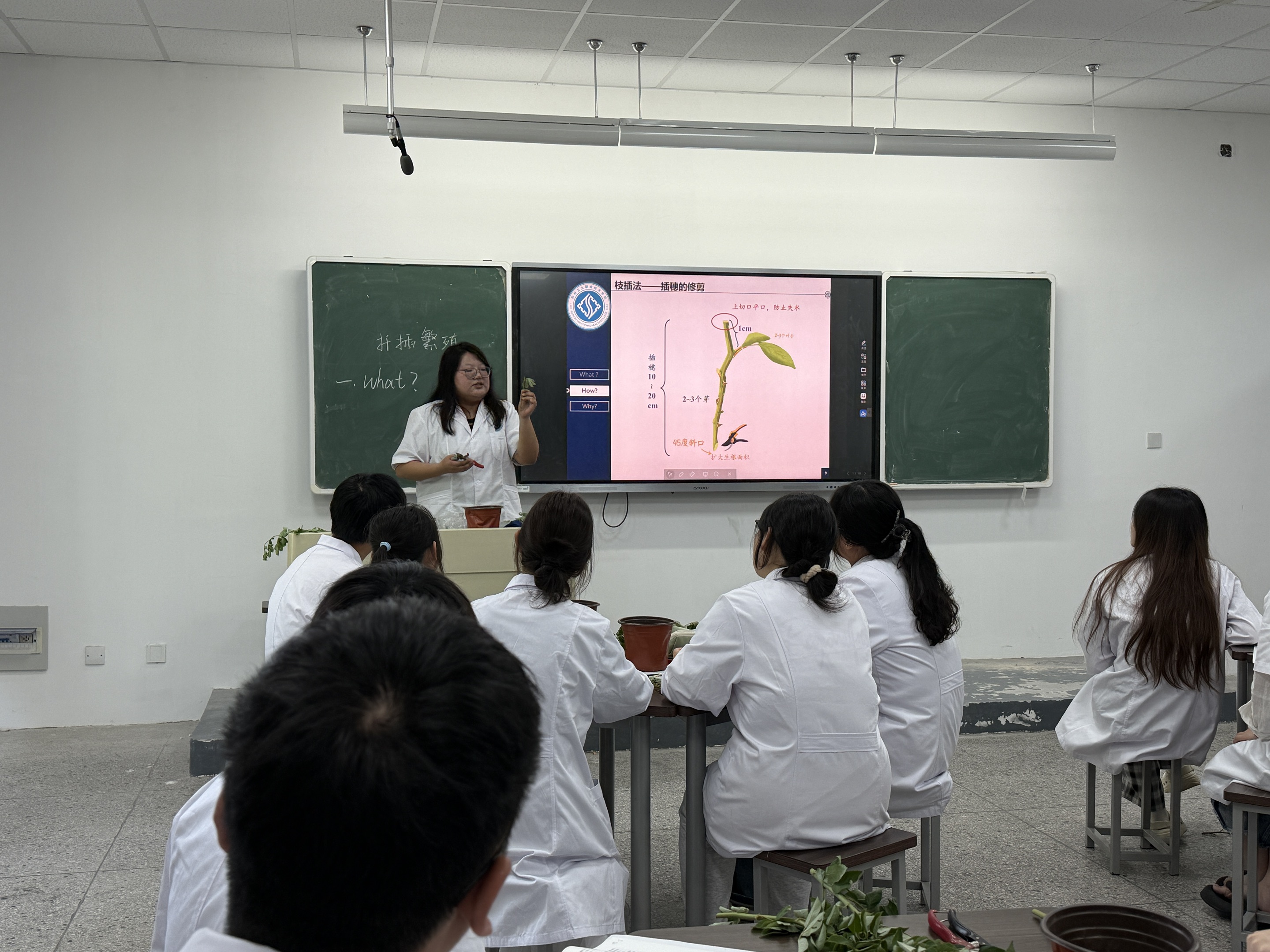 照片1.jpg