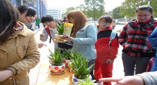 同学们在踊跃选购植物，才开卖十几分钟，只剩下寥寥几盆.jpg
